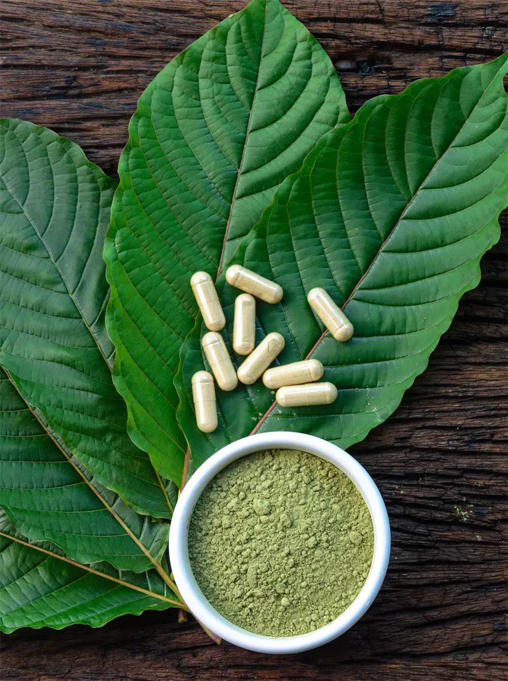 kratom frequent asked question, FAQ, Buy Kratom Online - the evergreen tree |