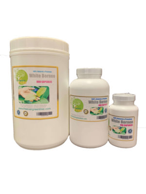 White Borneo kratom capsules, White Borneo Kratom Capsules (500mg), Buy Kratom Online - the evergreen tree |