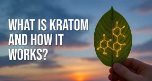 What Is Kratom And How It Works?